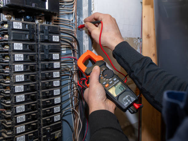 Best Electric Panel Repair  in Blossom, TX